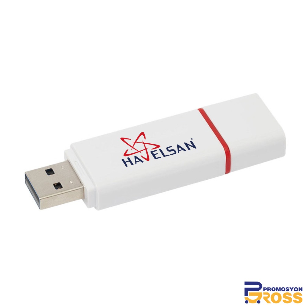 MENGÜCEKLİLER PLASTİK USB BELLEK (16 GB)